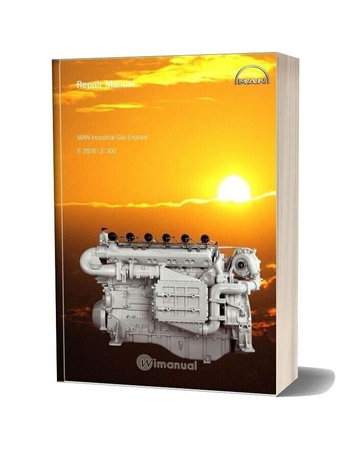 Man Industrial Gas Engines E 2876 Le 302 Repair Manual